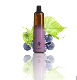 Vabeen Vapes с 20mg 5000puffs Ecig