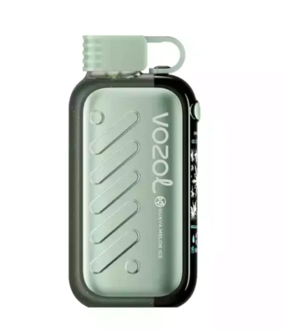 VOZOL Gear 50 000 Гуава Дыня